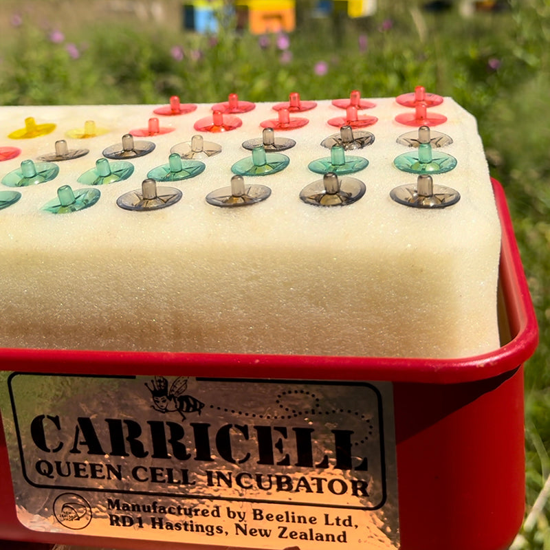 70-cell 12v Carricell Hire